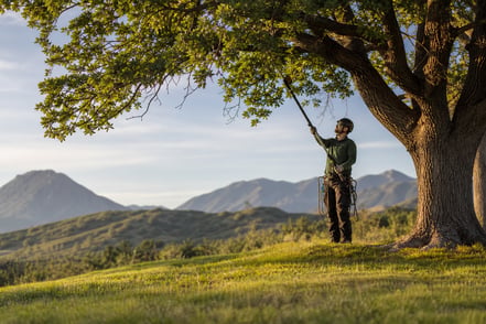 Blog for Seasonal Tree Care in Utah