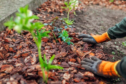 How to Mulch Utah Estate Landscapes
