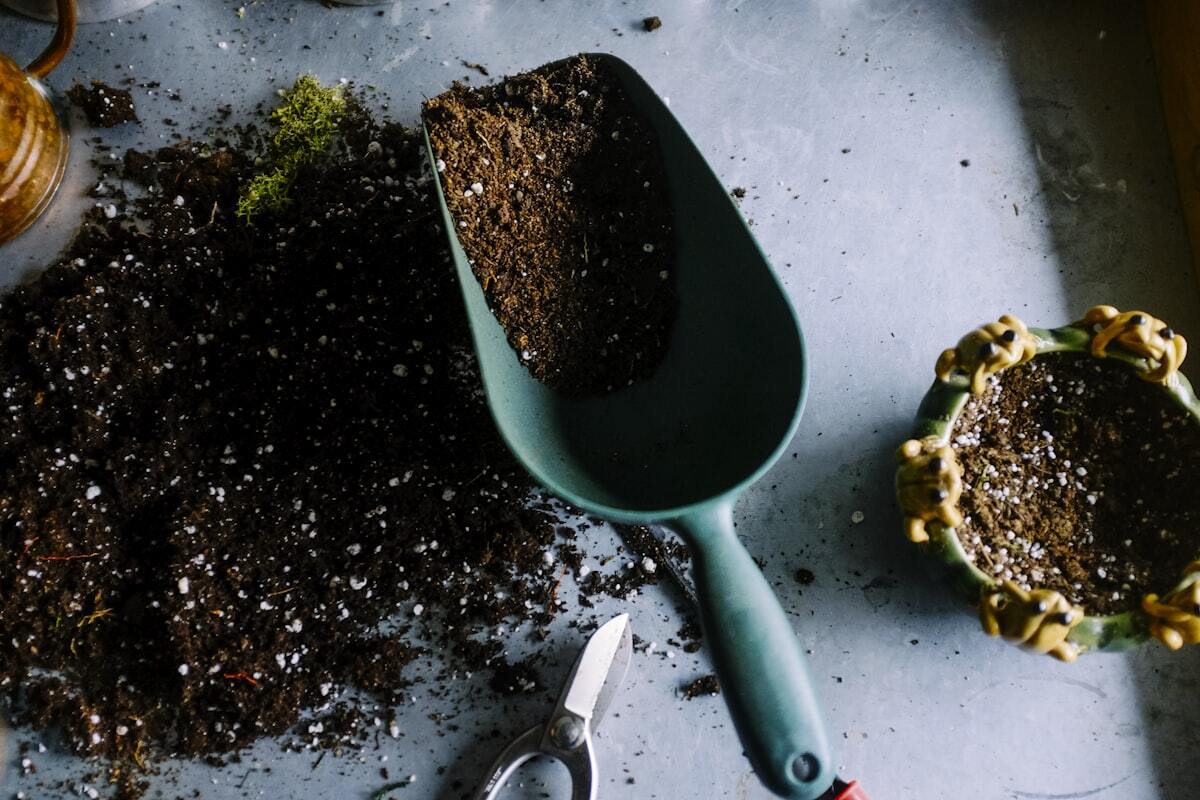 Prime Landscaping Tips - 3 Tips to Keep Your Plants Thriving This Summer
